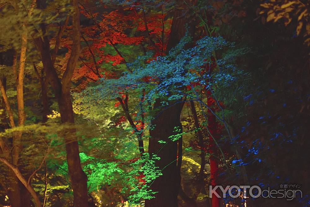 京の七夕2019　北野天満宮（１１）