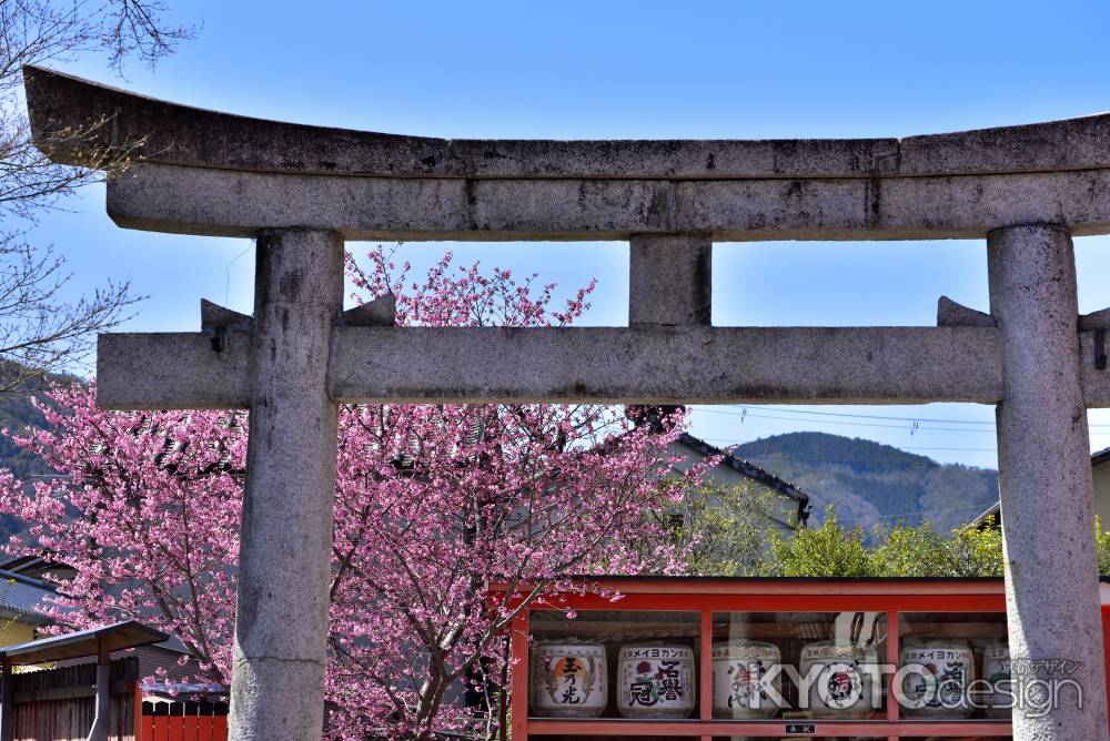 車折神社　（2022年3月27日） scene２