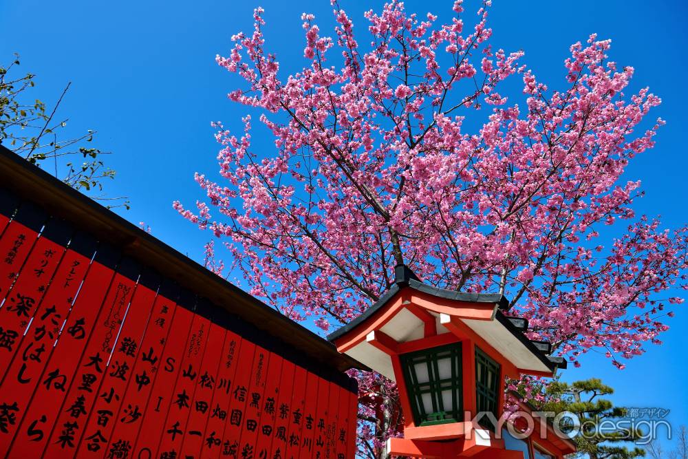 車折神社　（2022年3月27日） scene５