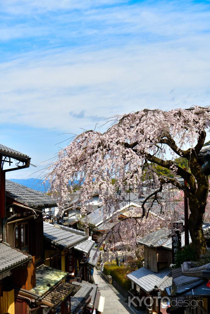 産寧坂明保野亭（2022年3月28日）Scene４