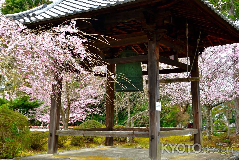 醍醐寺　（2022年3月28日）Scene８