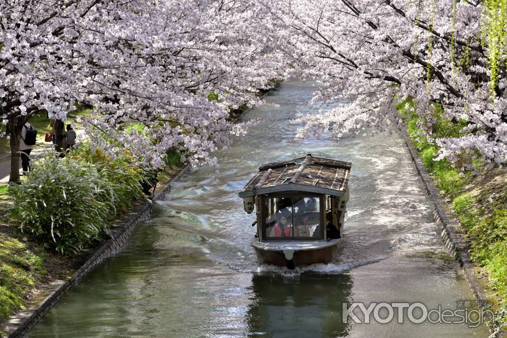 中書島　（2022年4月1日）Scene6