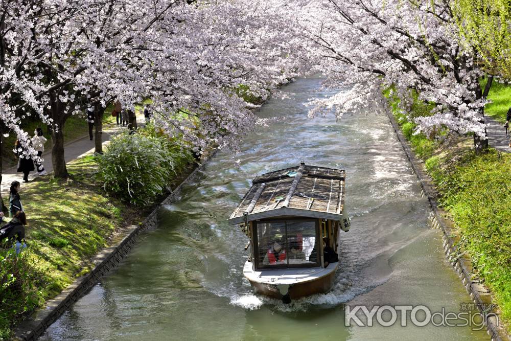 中書島　（2022年4月1日）Scene7