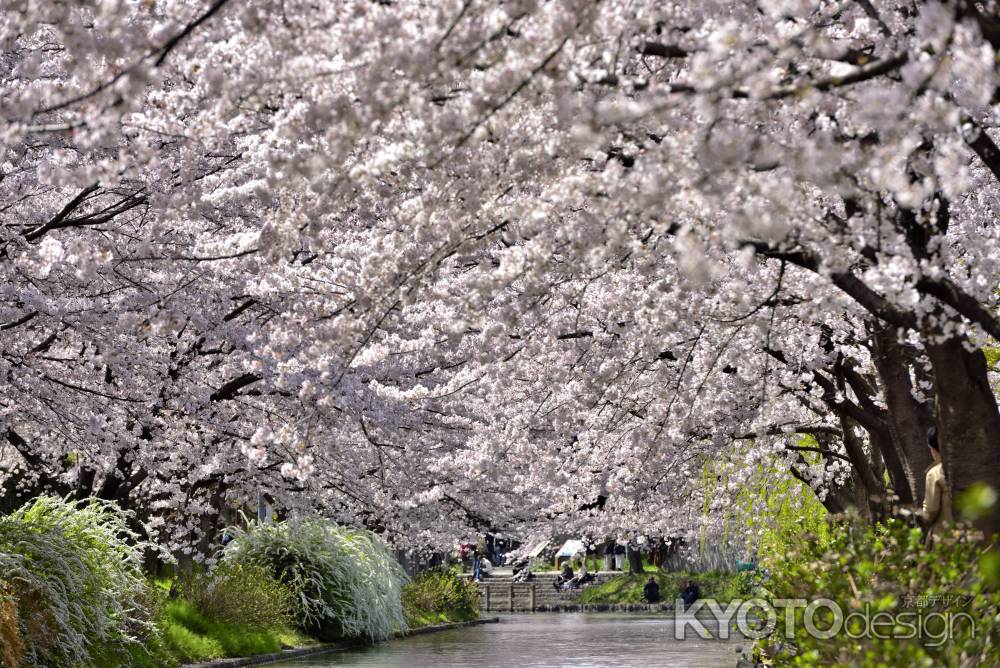 中書島　（2022年4月1日）Scene8