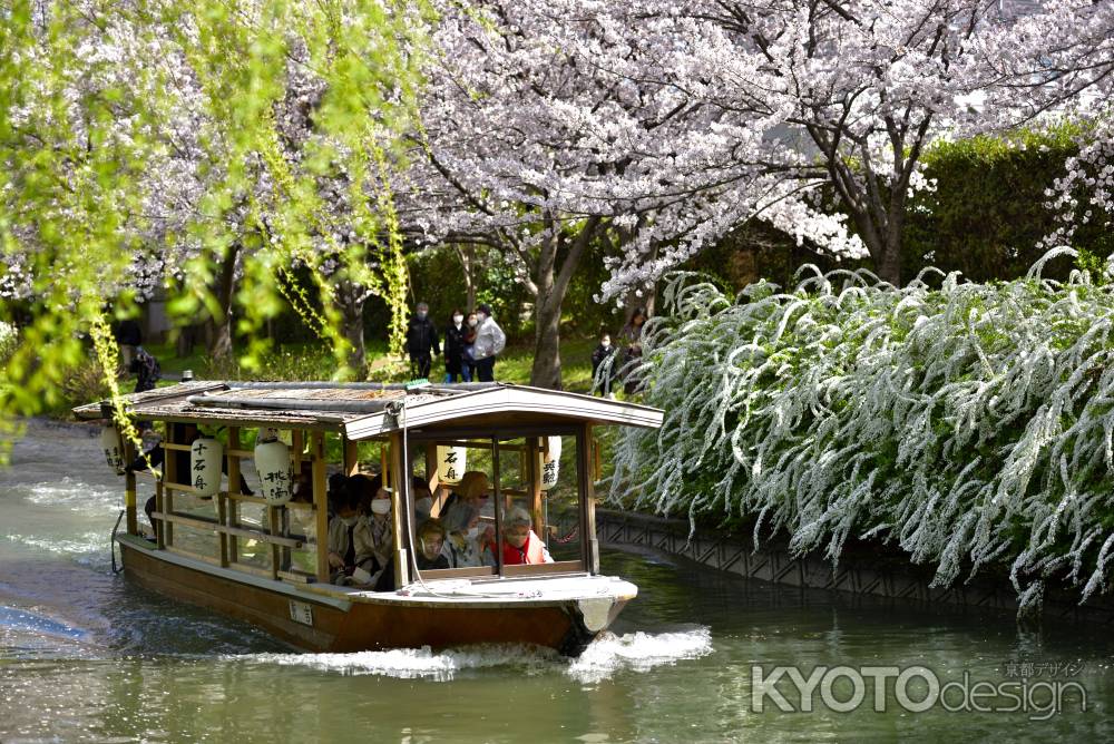 中書島　（2022年4月1日）Scene10
