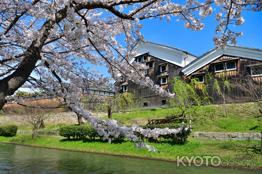 中書島　（2022年4月1日）Scene18