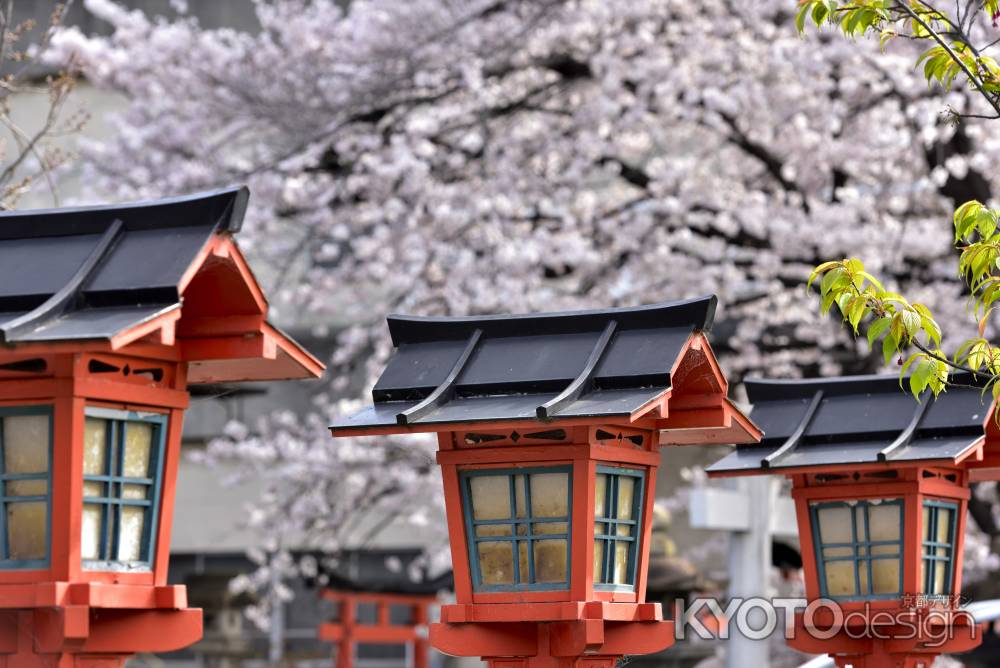 六孫王神社（2022年4月2日）Scene５