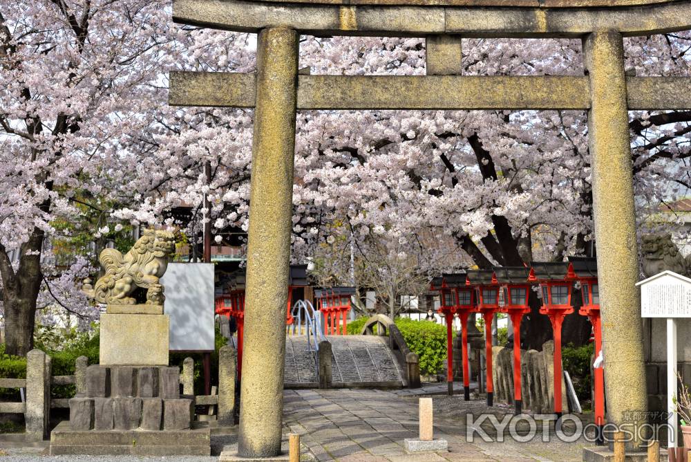 六孫王神社（2022年4月2日）Scene８
