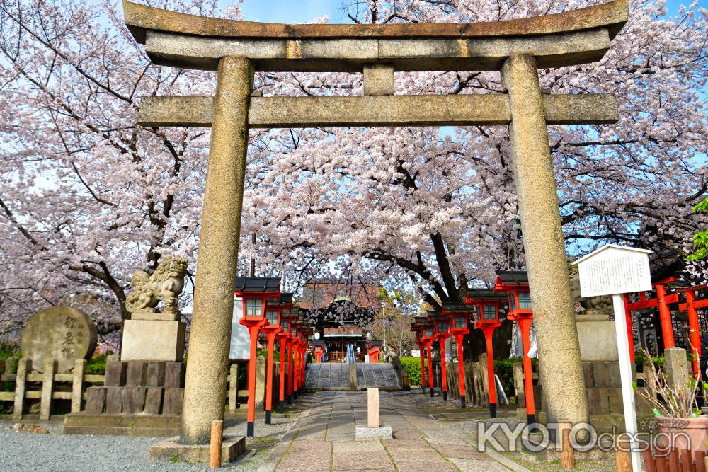 六孫王神社（2022年4月2日）Scene11