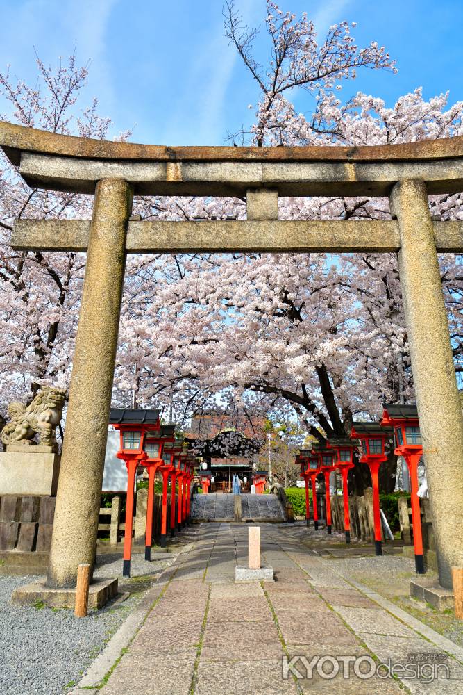 六孫王神社（2022年4月2日）Scene12