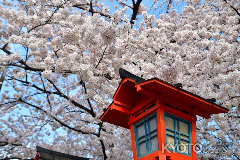 六孫王神社（2022年4月2日）Scene15