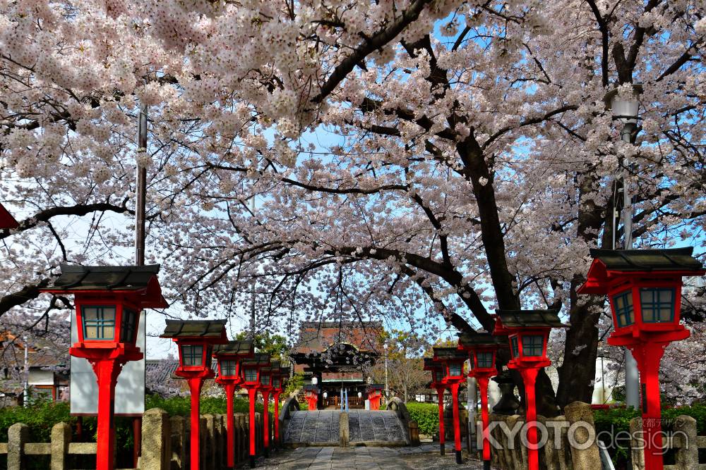 六孫王神社（2022年4月2日）Scene16