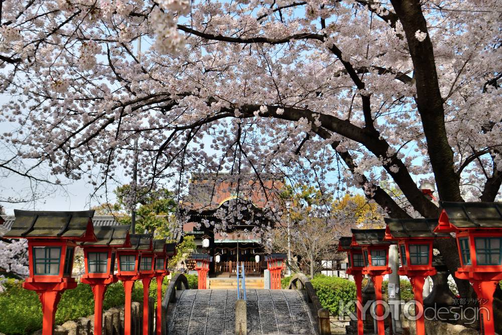 六孫王神社（2022年4月2日）Scene17