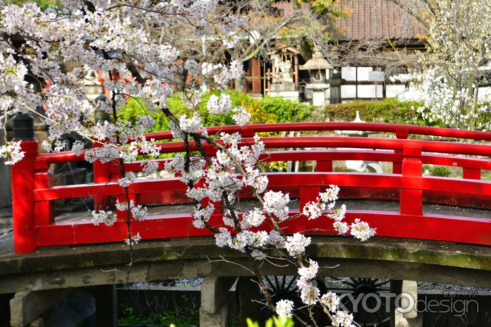 六孫王神社（2022年4月2日）Scene18
