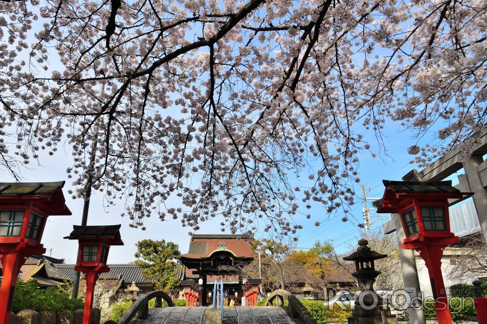 六孫王神社（2022年4月2日）Scene19