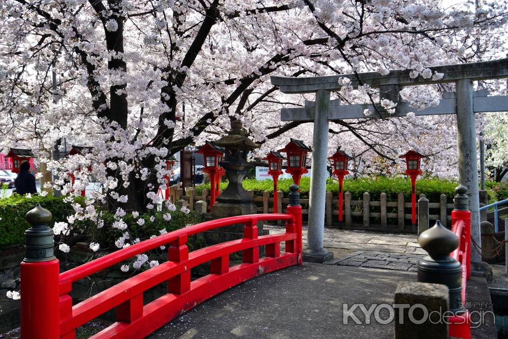 六孫王神社（2022年4月2日）Scene20