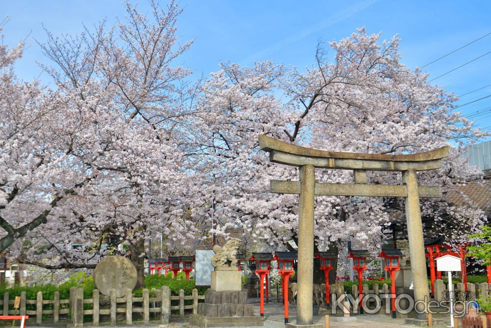 六孫王神社（2022年4月2日）Scene25