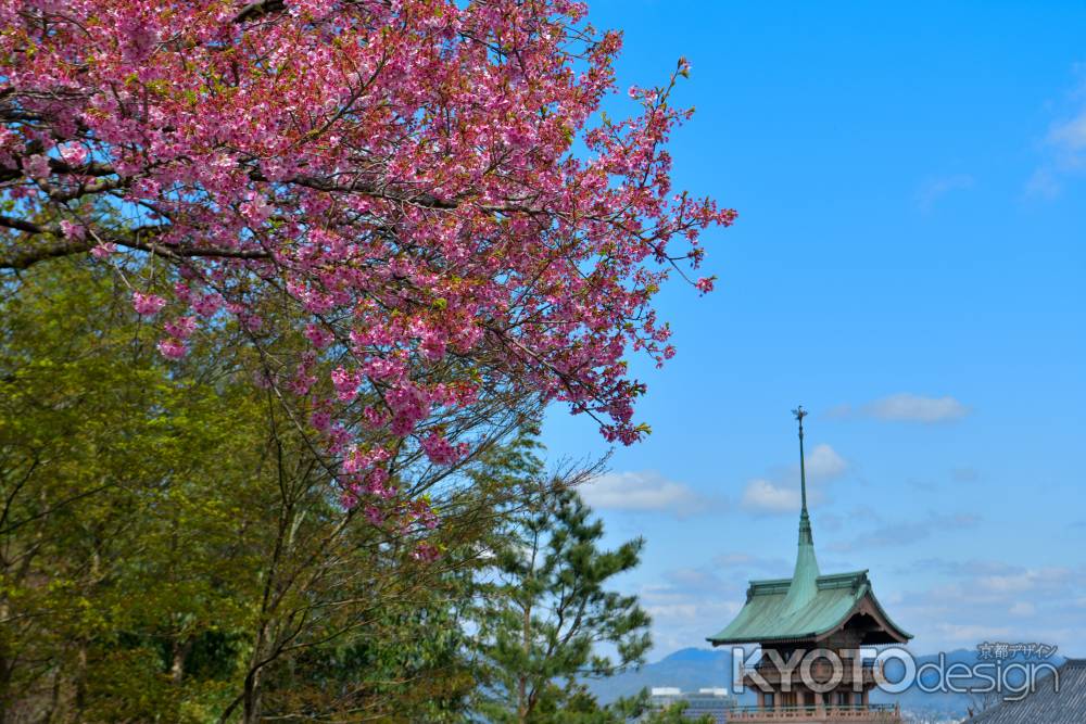 大悲閣（2022年4月4日）