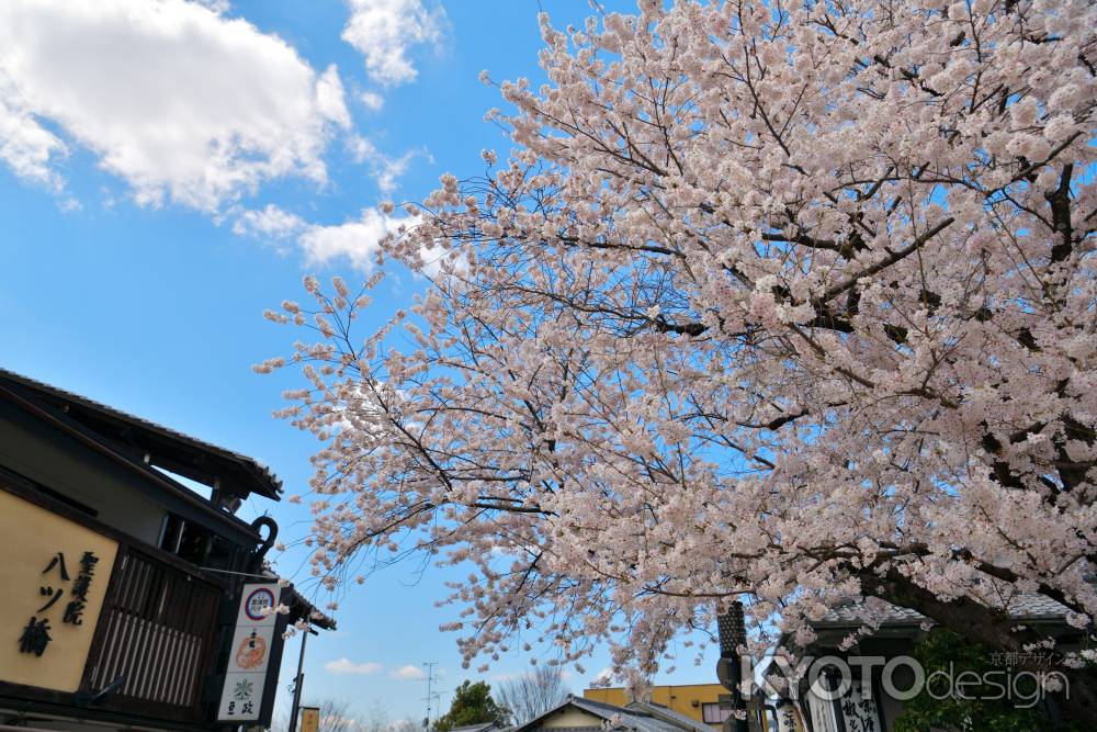 産寧坂（2022年4月4日）