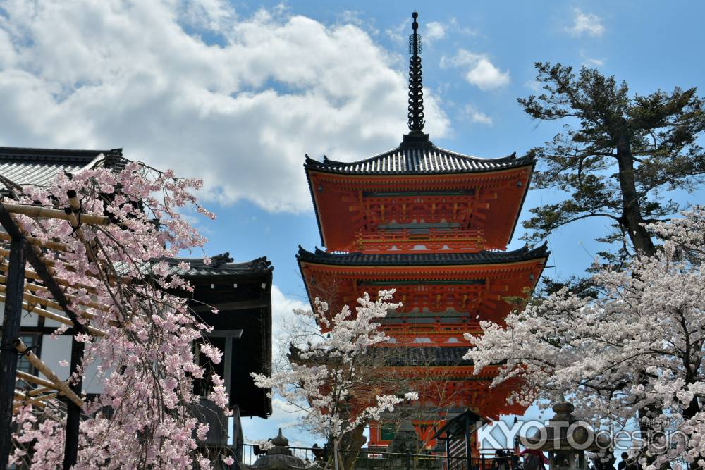 清水寺（2022年4月4日） Scene2