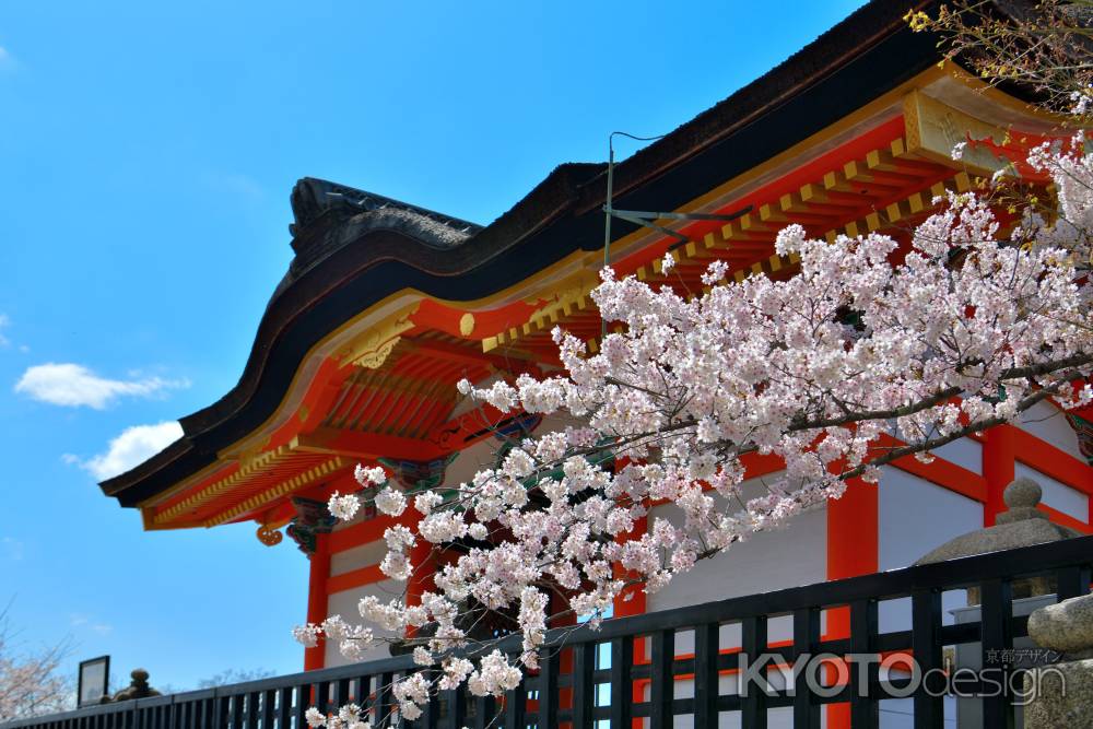 清水寺（2022年4月4日） Scene4