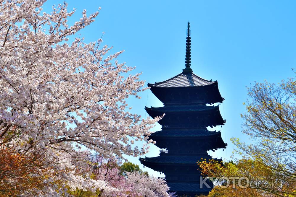 東寺（2022年4月5日）Scene12