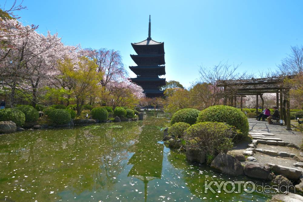 東寺（2022年4月5日）Scene14