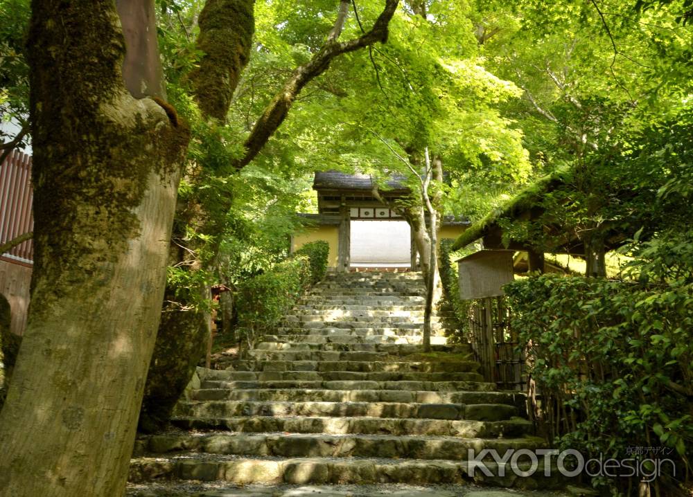 寂光院へのアプローチ