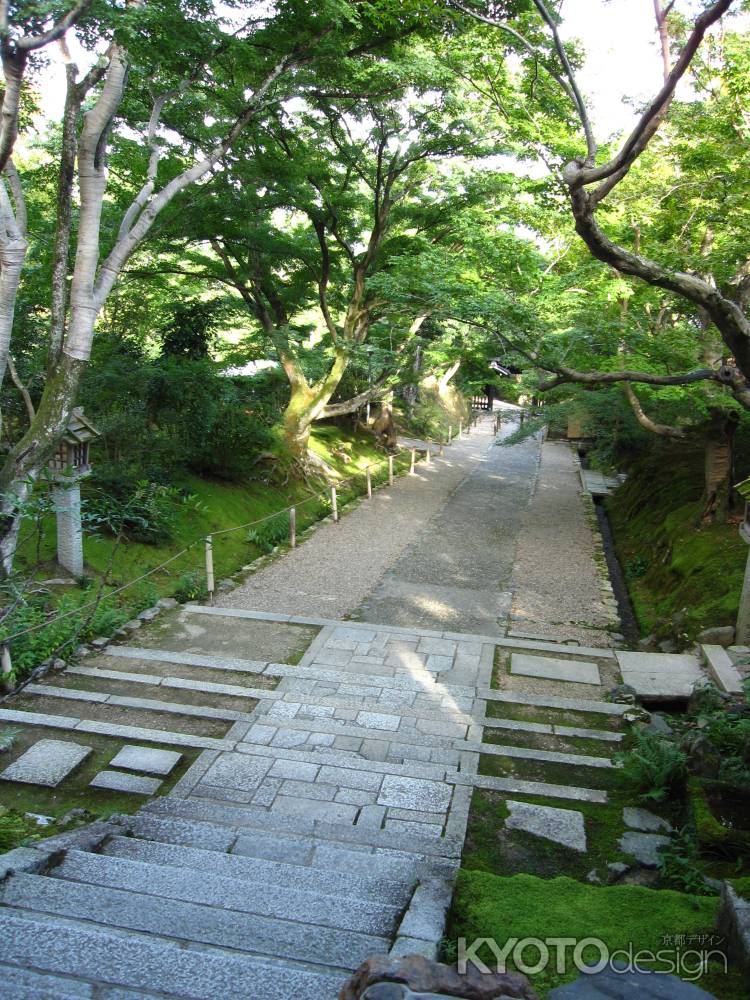 常寂光寺仁王門から山門へ続く参道