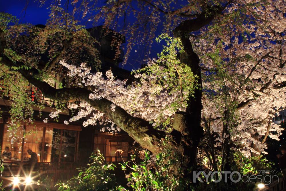 祇園春の賑わい