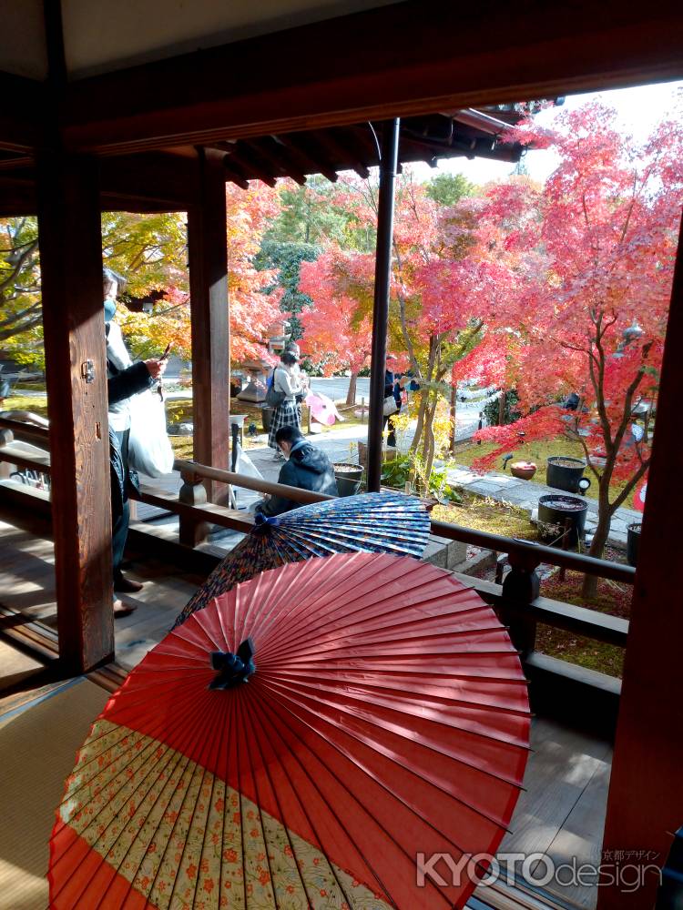 秋色に彩られた境内