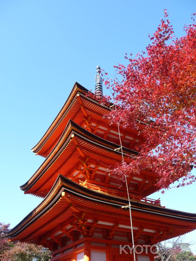 紅葉と子安塔　（清水寺）