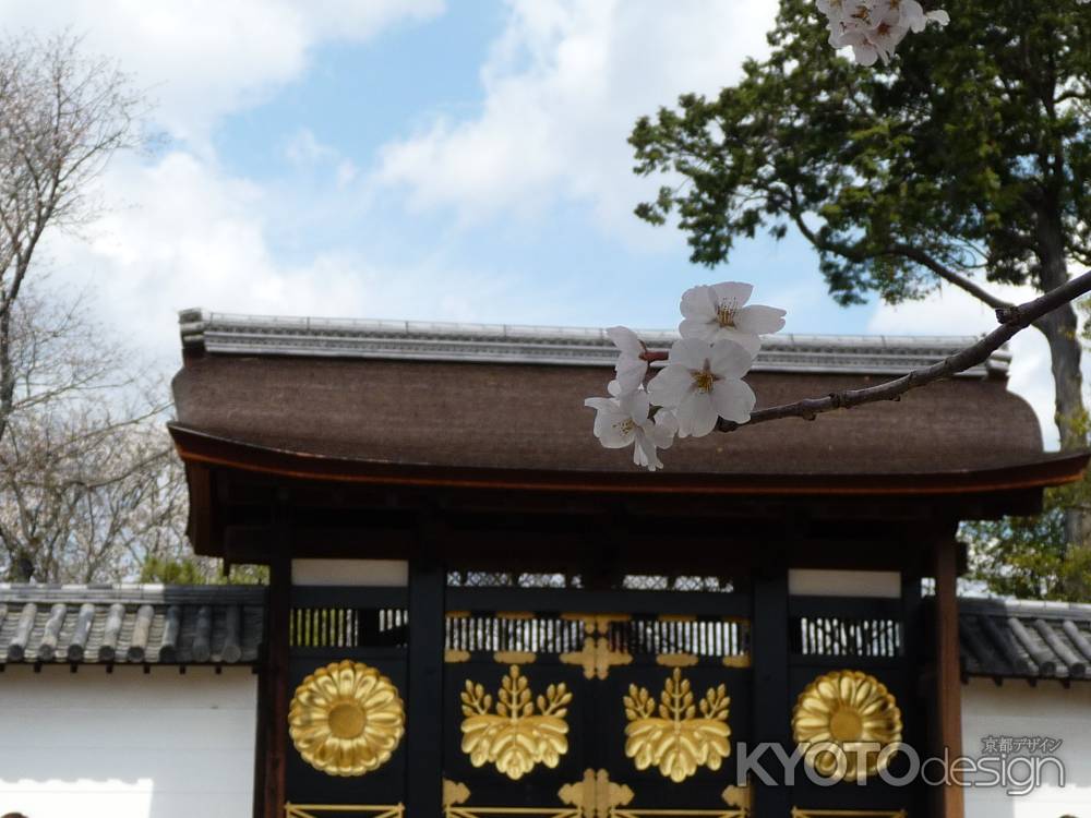 秀吉の夢の跡 （醍醐寺）