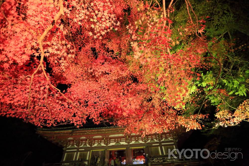 神護寺　ライトアップ②