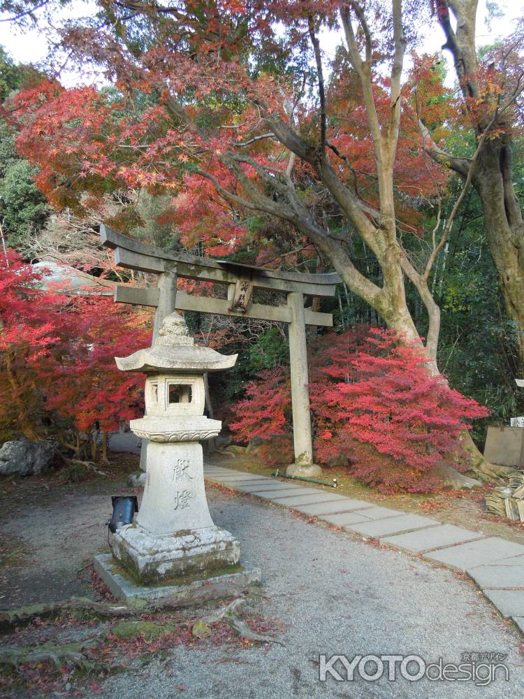 紅葉に囲まれた弁天堂鳥居