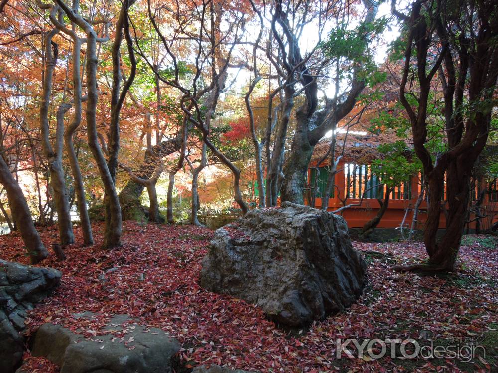毘沙門堂　庭石の秋