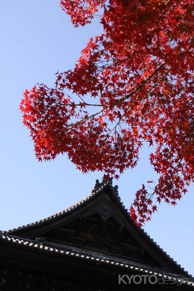 建仁寺と紅葉