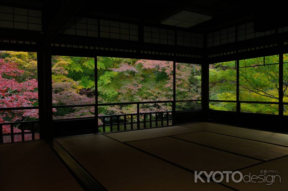 光り輝く瑠璃の庭