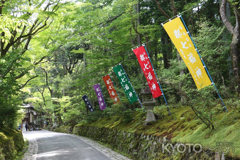 新緑の赤山禅院の参道