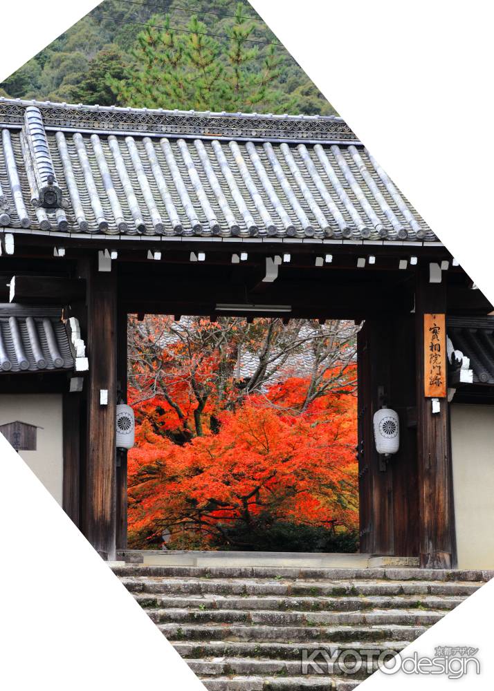 実相院山門の紅葉