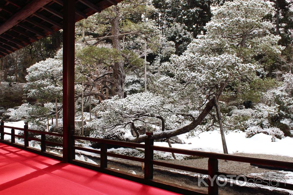 曼殊院門跡　雪の庭園
