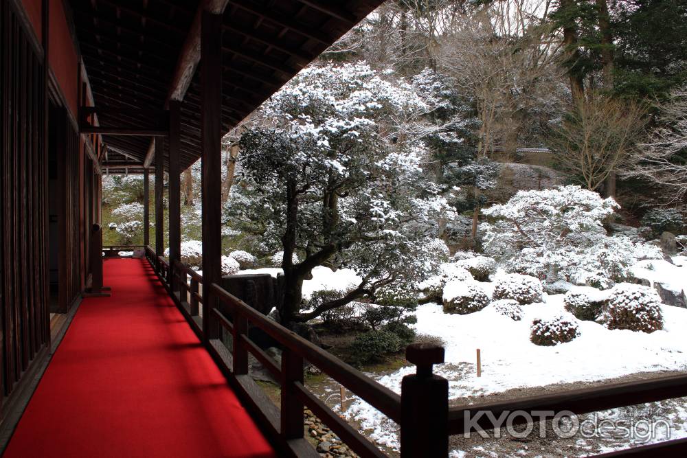曼殊院門跡　雪景色