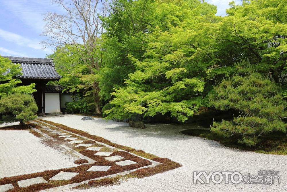 天授庵本堂の前庭