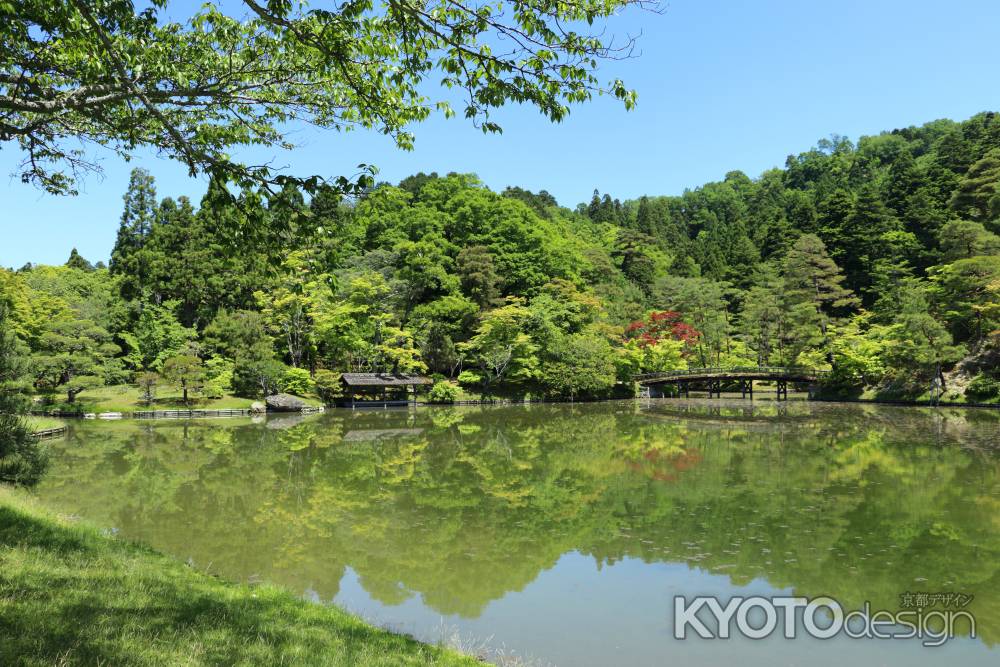 修学院離宮　浴龍池の水面に、新緑と快晴の空を写す