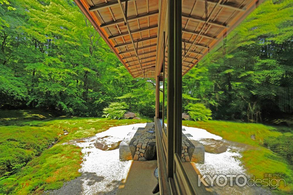 ガラス窓に映る青もみじ