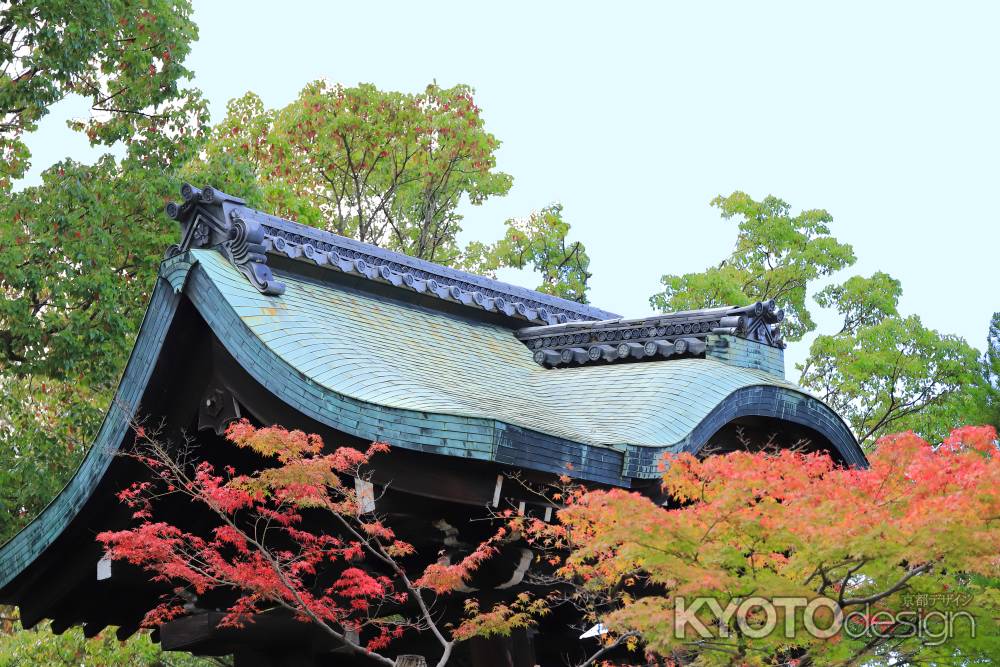 智積院講堂前の門の紅葉