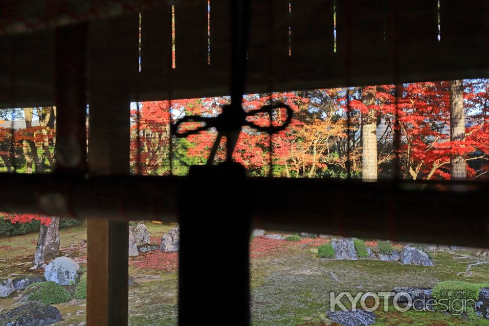 すだれ越しに紅葉