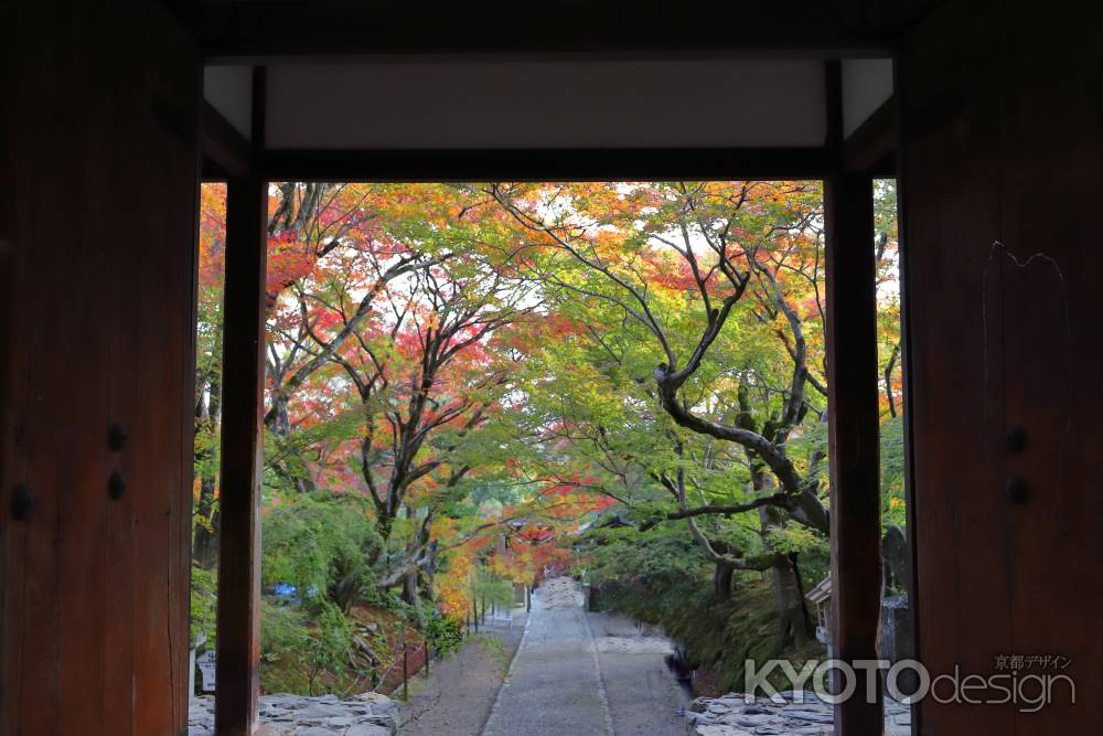 常寂光寺の山門から見た参道