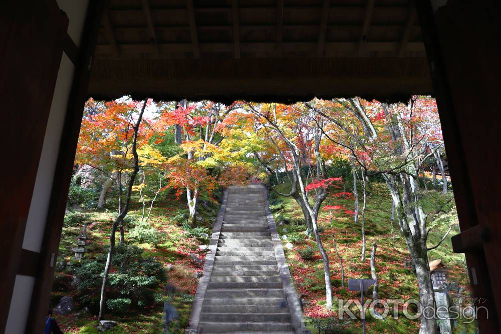 常寂光寺の山門から見た本堂への階段