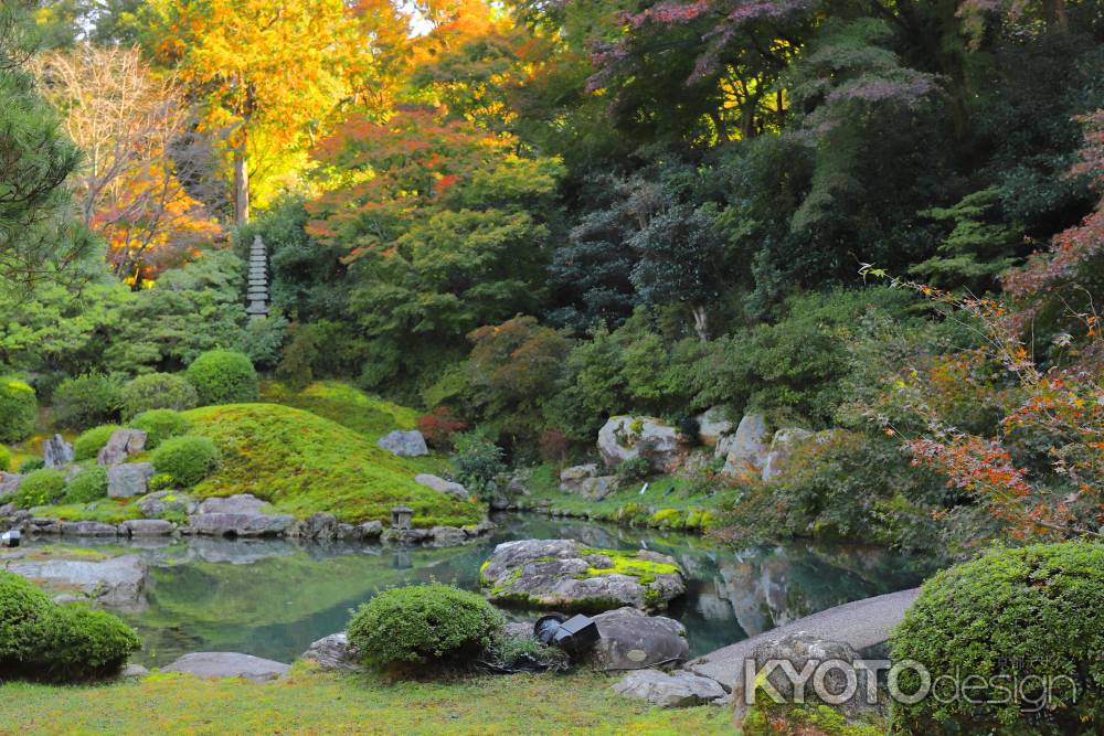 青蓮院、早朝の庭